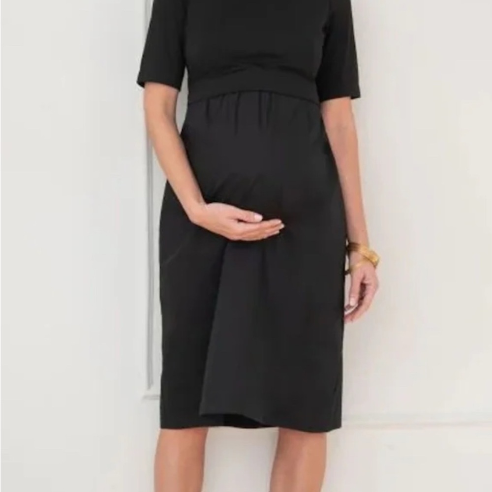 Seraphine Maternity and Nursing Dress